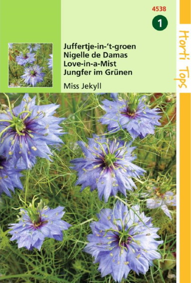 Love-in-a-mist Miss Jekyll Blue (Nigella) 500 seeds HT